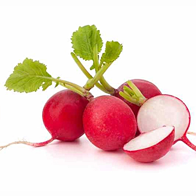 Radish